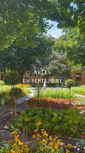 ☀️ Septembre à Arles ! Des journées encore baignées de soleil, une lumière dorée, des terrasses animées et un patrimoine riche... ✨🏛 Un mois idéal pour venir découvrir Arles ! | Office de Tourisme d'Arles Camargue