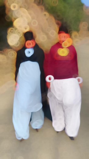 With tik tok star # at chakisar ##❤️❤️#naji👉khan❤️ #@♨️Gp Atiq Bhai♨️ @🥀 PROF.ZAMEER 🥀 @Umair ali khan @Khan Safeer11 #new #account