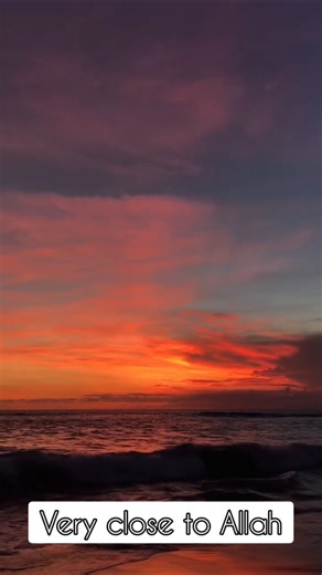 Observing Nature with less social media apps😊 #allah #nature #shorts Note : only my opinion no hate