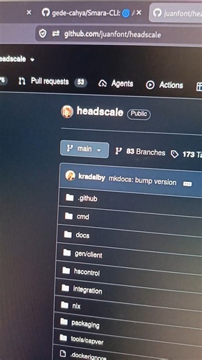 Headscale: Alternative Open-Source Tailscale Control Server 🚀