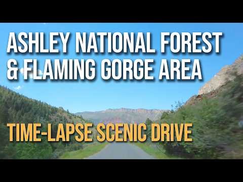 Time-Lapse Scenic Drive: Ashley National Forest & Flaming Gorge Adventure (UT/WY)