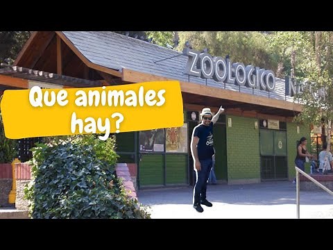 ¿Vale la pena visitar el Zoológico Nacional de Chile? Te lo muestro todo