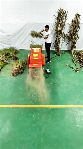 Chaff cutter machine for farming feed equipment #grasscutter #feedmachine #fyp #farming #feed