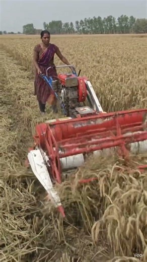 mini 🌾Harvesting machine✨ #shortvideo💥 #shorts #farming