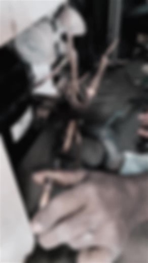 Top Freezer Cleaning Tips You Need to Know