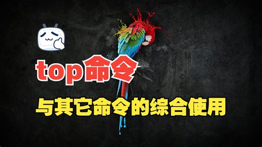 第二十二说-top命令与其它命令的综合使用 监控无忧