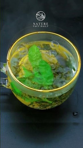 Sinus & Stuffy Nose? Inhale Peppermint - Clear in 60 Seconds!