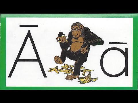 1001 01 Aging Ape - Learn to Read with Ace and Christi (A.C.E. Accelerated Christian Education)
