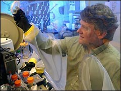 Company makes fuel from wood using nothing but water