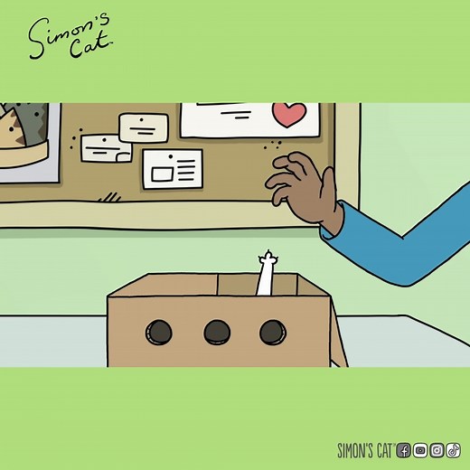 Pick me, love me, choose me or how Simon met his Cat! 😘 | Simon's Cat