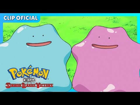 ¡El doble de drama Ditto! | Pokémon: DP Los vencedores de la Liga de Sinnoh | Clip oficial