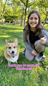 For National Corgi Day, we surprised a little fan with a little meet up at the park.⁣⁣ ⁣⁣ The mom reached out to us, asking if we could surprise her daughter and “accidentally” stumble upon us at the park. Of course we had to say yes!⁣⁣ ⁣⁣ One of the sweetest thing they have told us, was that they have Dash time in the morning before school, where they watch Dash’s videos and have a good laugh before they start their day.⁣⁣ ⁣⁣ We love meeting with our followers, it makes us feel close to this am