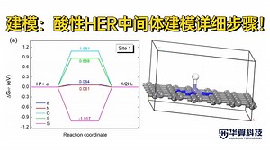 【电催化HER】酸性HER中间体建模速通指南！两小时顶刊套路浓缩2分钟实操！| 华算科技 MS建模教程