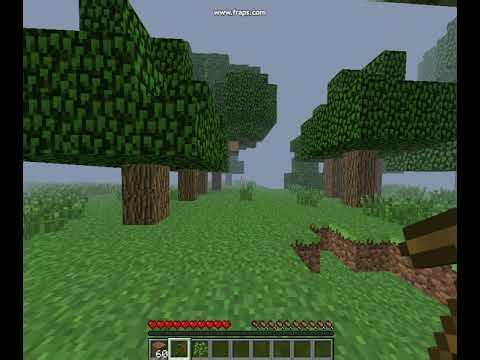 First Minecraft Video On Fraps