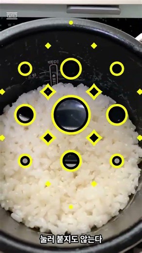 밥솥 클로를 쓰면, 딸깍— 밥을 해준다며? 그런데… 찰진 밥은 어디 갔지?
