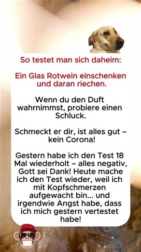 😂😂😂Ich bin ein Corona-Test, aber ich bin nicht einsam😂 #lachen #flachwitz #funny #lustig
