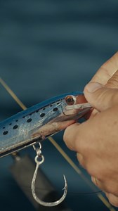 New Laser Pro 210 Deep Diver (4.5m ) is available now! 🤝 #youknowtheywork | Halco Tackle