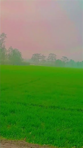 4 जनवरी 2026