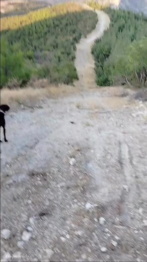 Meuleset🐇🤩 #reels #fyp | Lesii Pontel Lala