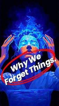 Why You Forget Almost Everything You Learn #facts #historicalmyths #education #history