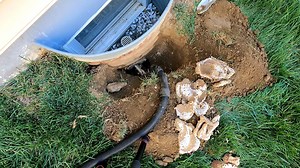 Swarmed and Attacked by an AGGRESSIVE Underground Yellow Jacket Colony! #fypシ #viralvideo #hornetking #Yellowjackets #fyp | Hornet King