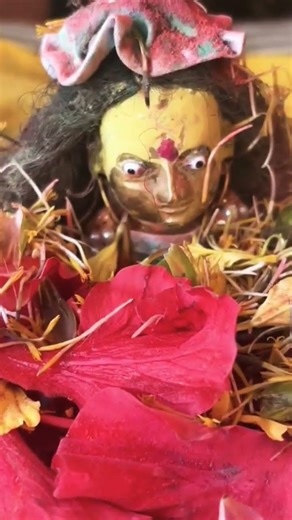 #holifestival #he_krishn#love #jayshreeram