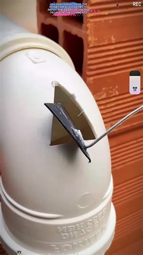 The Rise and Fall of a Robotics Prodigy: A Cautionary Tale