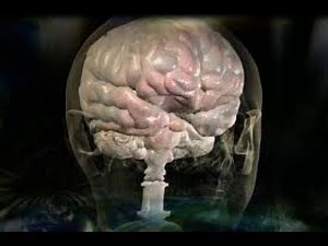 Full Documentary: Power of Human Mind - Mind Over Matter