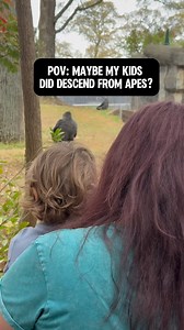 3.8K reactions · 105 shares | 轢Spring is a great time to visit Zoo...