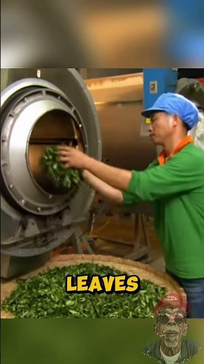 Ever Wondered How Tea Is Made