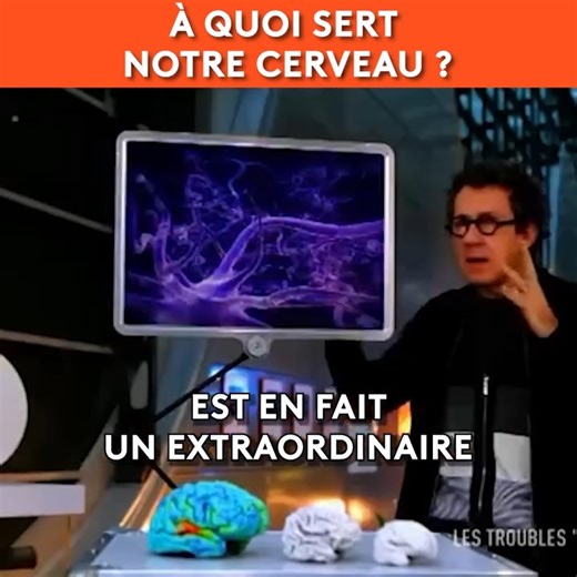 À quoi sert le cerveau ? « C’est pas sorcier », le magazine de la science et de la découverte présenté par Fred, Jamy et Sabine. A bord de leur camion laboratoire, les trois présentateurs nous emmènent vers des sites insolites et spectaculaires pour nous expliquer le monde qui nous entoure. Retrouvez les émissions sur : https://www.youtube.com/user/cestpassorcierftv Suivez-nous sur Facebook https://www.facebook.com/cestpassorcier/ #cestpassorcier #Jamy #science | C'est pas sorcier