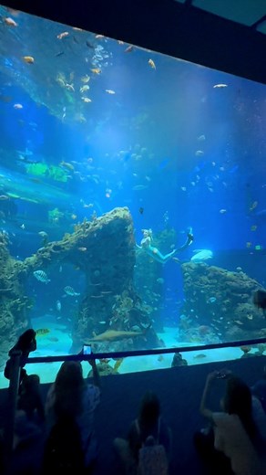 575 reactions · 21 shares | While I swam home, my seat sisters are...