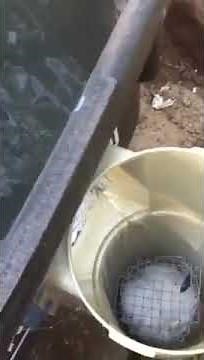 Make your own pool filter