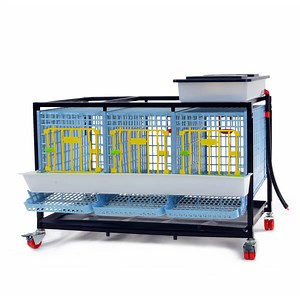 Chicken Egg Laying Cage - 1 Layer 15" Divided Breeding | Hatching Time