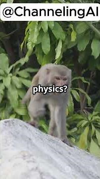 Boomerang Monkey's Epic Evolution in BTD5!