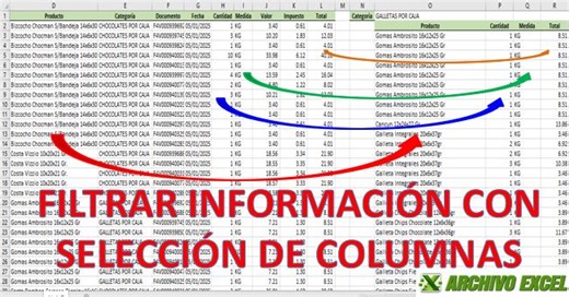 Cómo filtrar información de una base de datos y seleccionar las columnas a mostrar | Archivo Excel