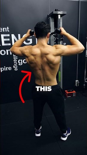 The BEST Way To Train Your Back (Biomechanics Explained)