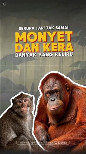 Monyet vs Kera: Apa sih bedanya?! 🐒🦍