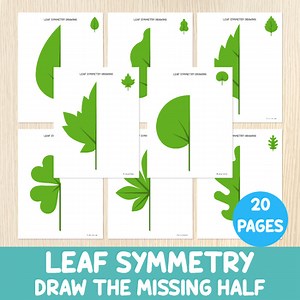 Leaf Symmetry Drawing & Coloring Worksheets - Art and Math Centers - Leaves