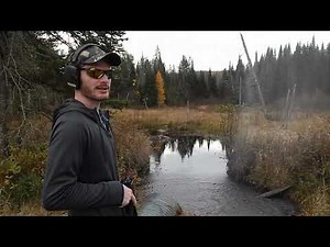 Type 81 shooting and woods walk montage