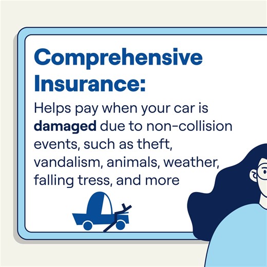 GEICO on Reels | Facebook