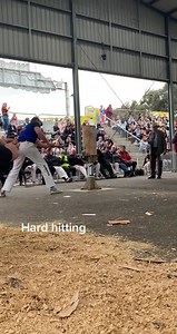 Wood Chopping Competition Highlights in Australia
