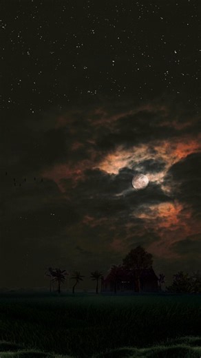 Sunset, Nature, Sky. Free Stock Video