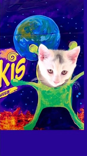 Alien cat singing #funny #painting