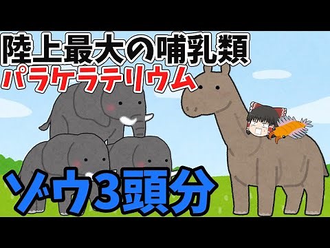 【ゆっくり解説】地球史上最大の哺乳類の太古のサイ「パラケラテリウム」【古代生物】【ゆっくり茶番】