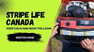 Leaf Blower vs. Power: Which Side Wins?