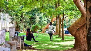 Applications for Diploma Holders under the Government Sponsorship Scheme