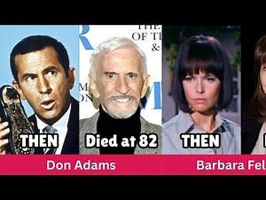 Get Smart 1965 Cast 60 Years Later (2025) – Then vs Now, Who Passed Away and Who's Still Here?