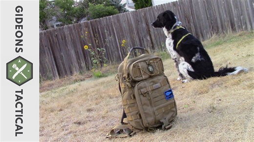 Vanquest Trident-20 Gen 2 backpack overview and tips