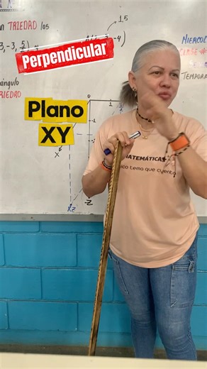 Three-Dimensional System (TRIHEDRON): Perpendicular from the XY plane 🤓 #profeliyuan #thisisalsoh...